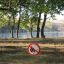 Пожароопасный сезон: ещё на три недели волгоградские леса закрыты для посещения