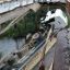 Перегруженный грузовой автомобиль обрушил аварийный мост в Елани