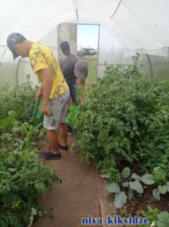 «Агроэкология» пришла на помощь учащимся