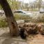 В Волгоградской области ураган нанес ущерб селянам