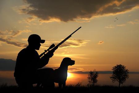 На севере региона открылся сезон охоты на уток и гусей