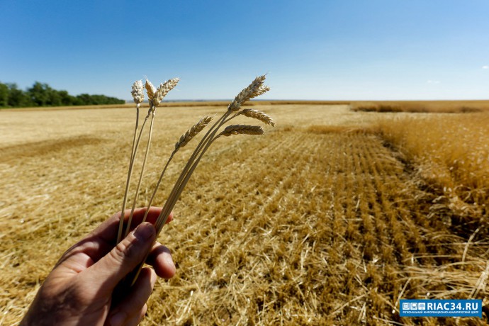 Комитет сельского хозяйства Волгоградской области информирует: